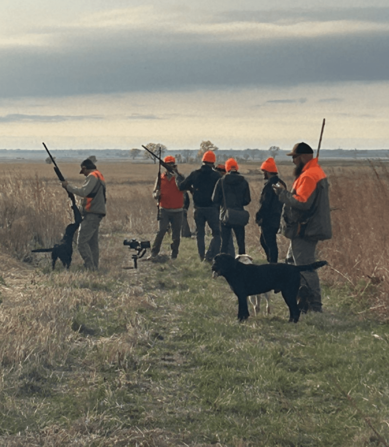 The Art of Pheasant Hunting Img