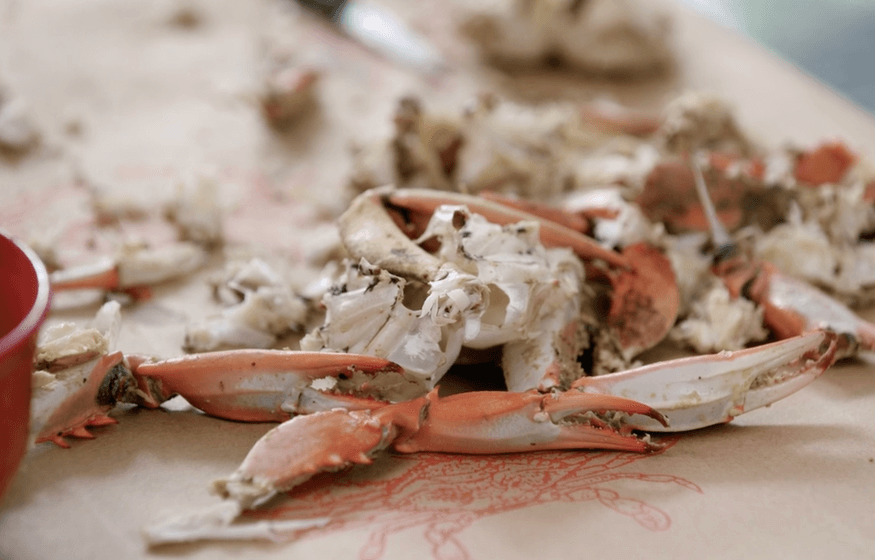 Episode Guide: Crabs in Maryland Img