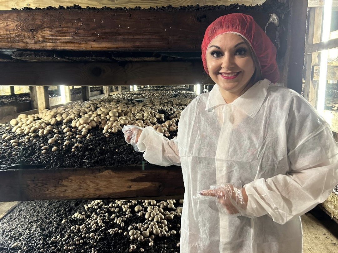 Episode Guide: Mushrooms in Pennsylvania Img