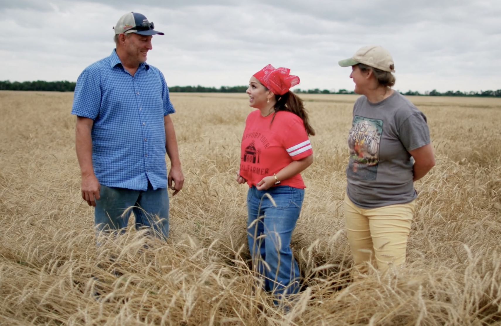 Episode Guide: Wheat in Kansas Img