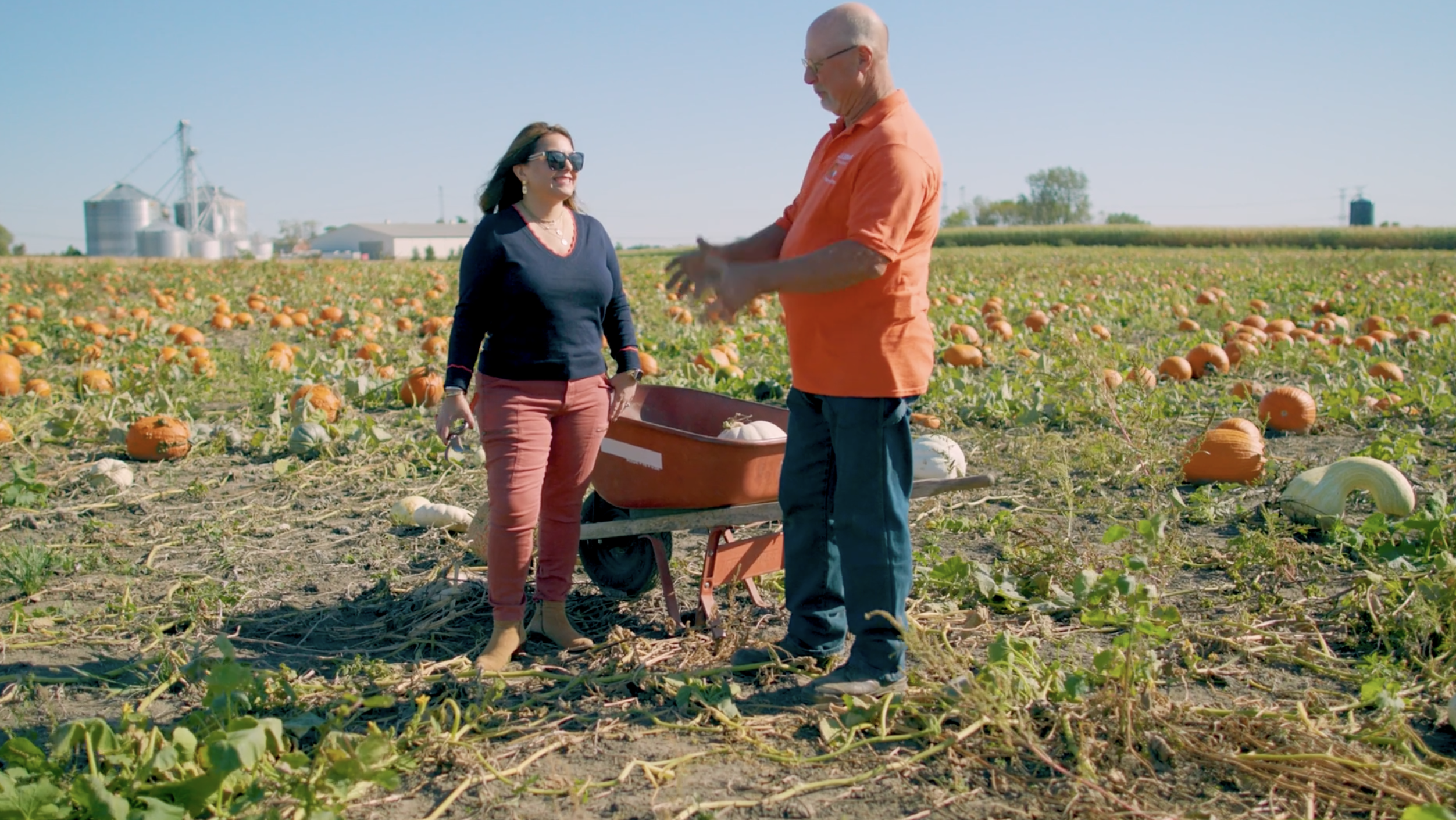 Episode Guide: Pumpkins in Illinois Img