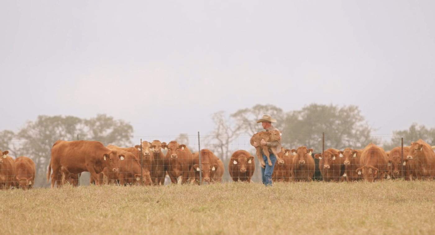 Episode Guide: Beef in Texas Img