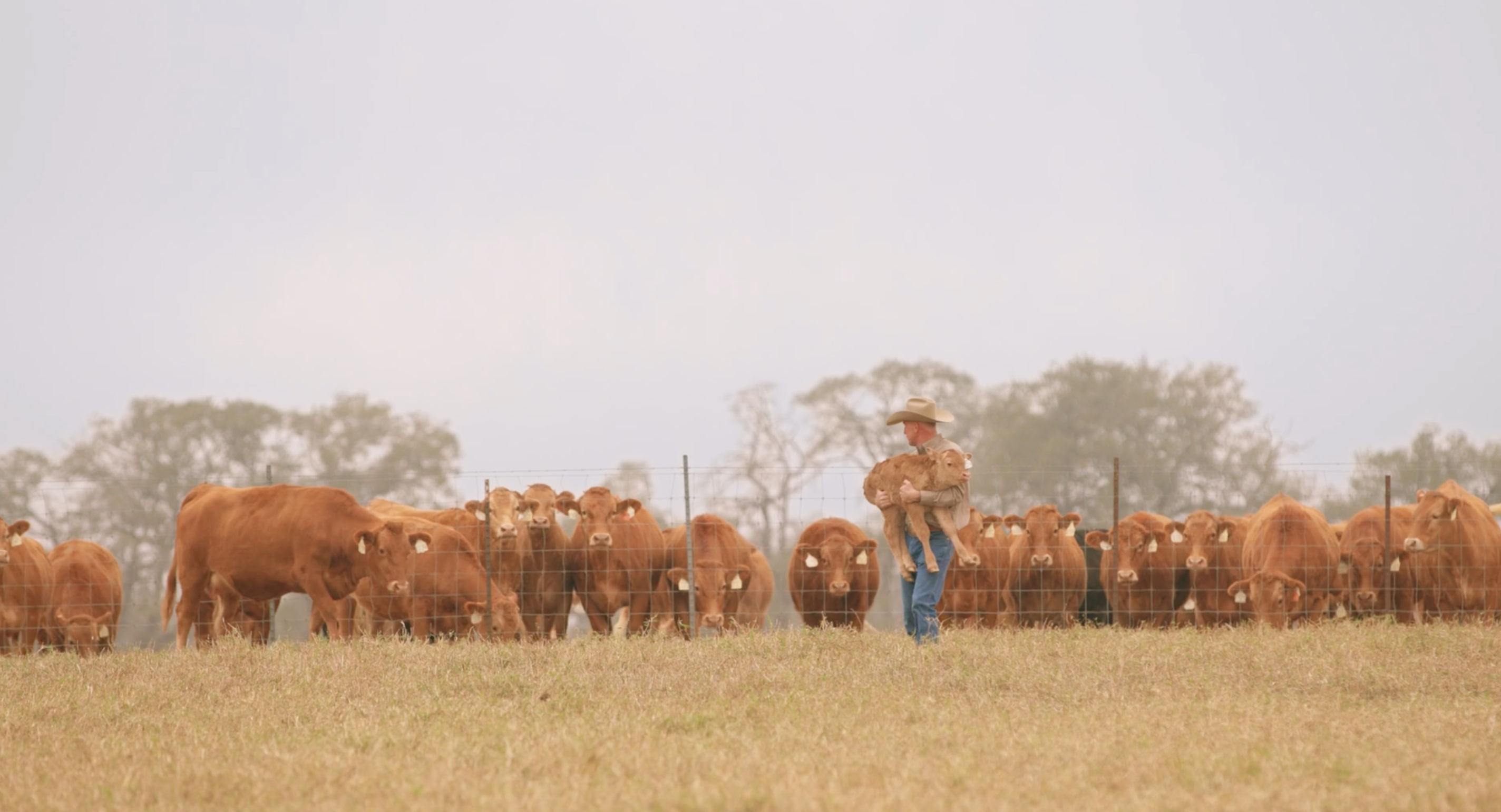 Episode Guide: Beef in Texas Img