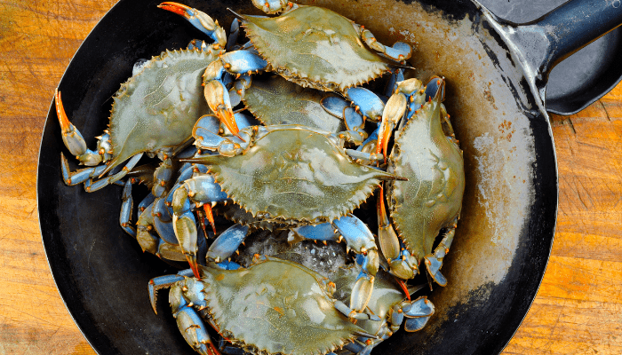 Maryland: A Crab Feast Img